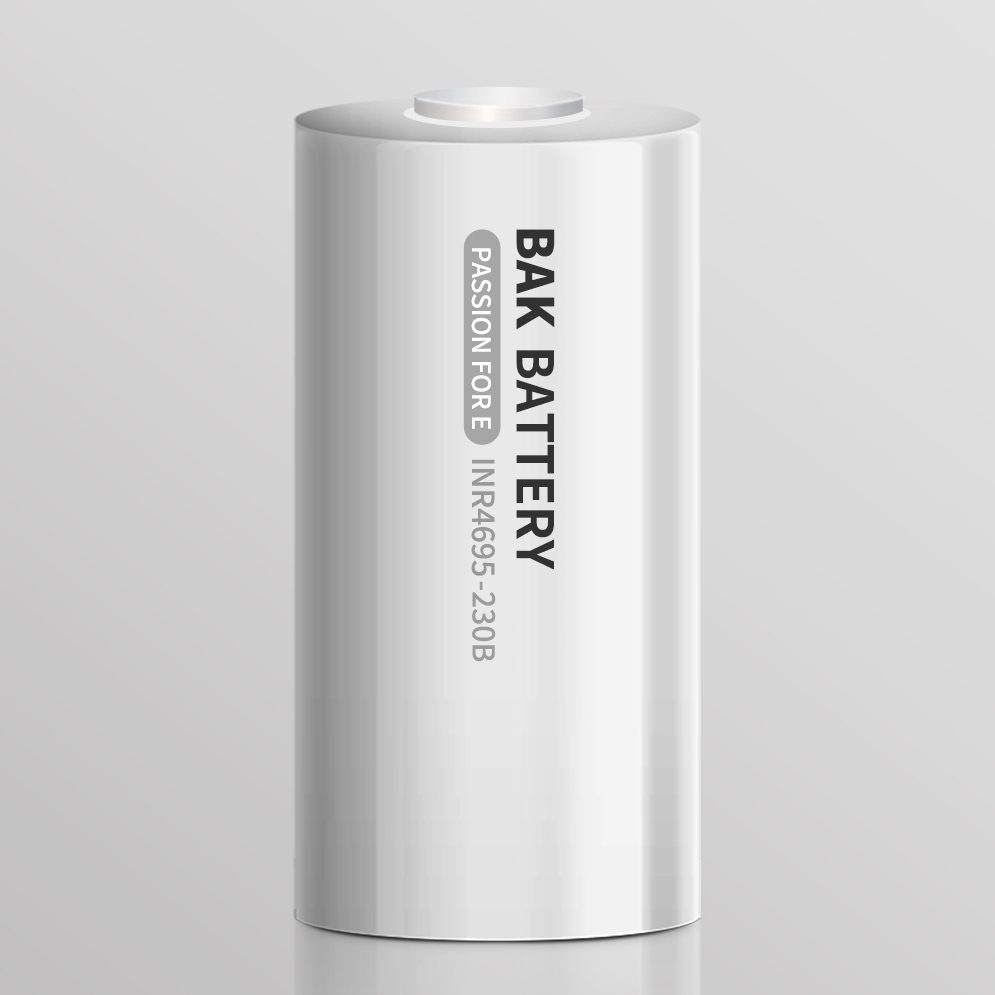 bak-IXR4695-230B battery
